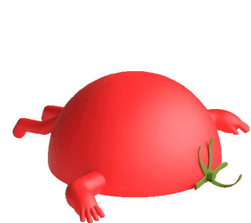 rajcatko
